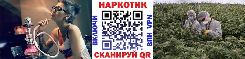 Наркошоп купить Амфетамин  СОЛЬ  Мефедрон  Конопля  Пикалёво