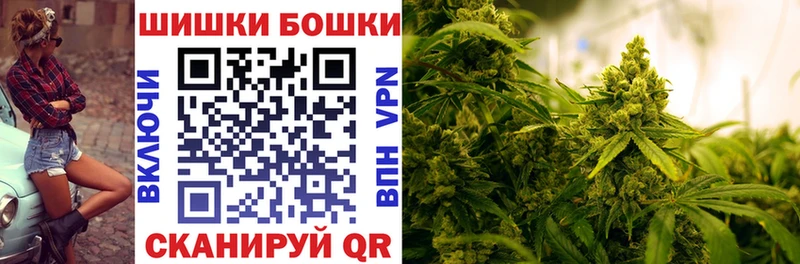 Конопля план  Купить  Пикалёво 